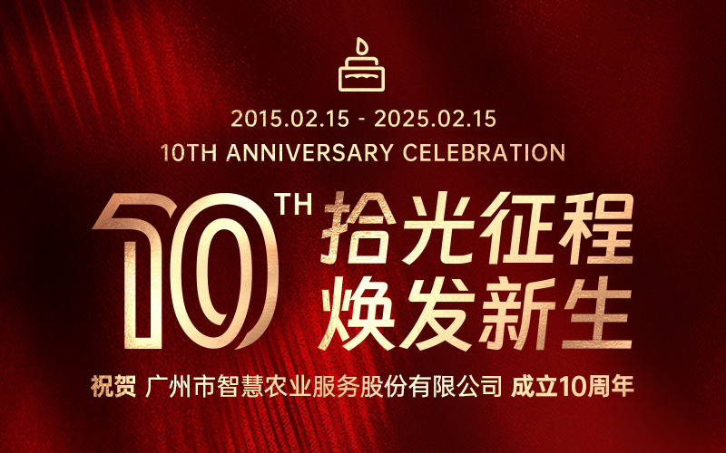 拾光征程，煥發新生 | 今年會jinnianhui官方網站服務股份有限公司成立十周年