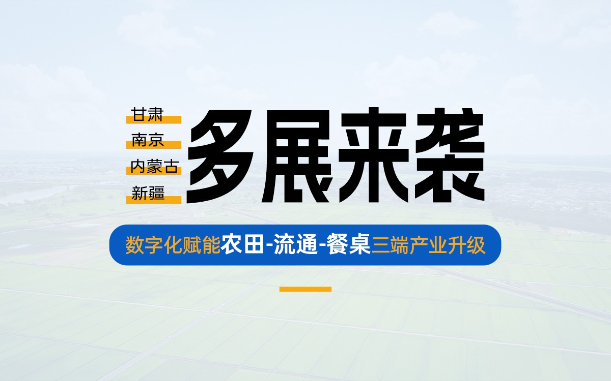 盛夏多展來襲，共探產業數字化新路徑