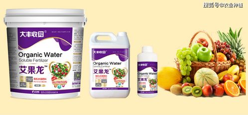 怎么促進(jìn)果子膨大轉(zhuǎn)色,搞清關(guān)鍵原理才好對(duì)應(yīng)下肥 大豐收艾果龍