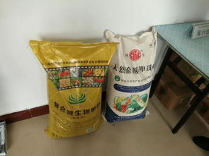 耕耘正當(dāng)時(shí) 四 什么樣的春管讓河南小麥穩(wěn)坐全國(guó)第一