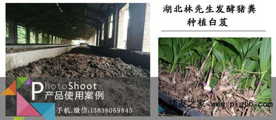 哪個廠的豬糞發酵劑用的人多產品靠譜