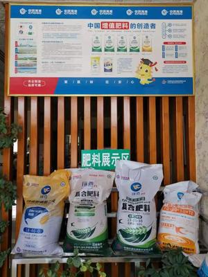 &ldquo;富島翔燕中國化肥增值行動&rdquo;走進新疆增值肥料助力新疆農業發展